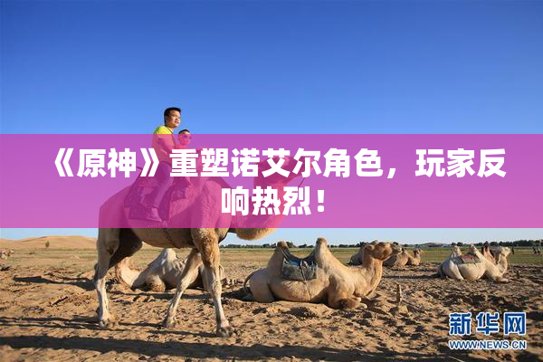 《原神》重塑诺艾尔角色，玩家反响热烈！
