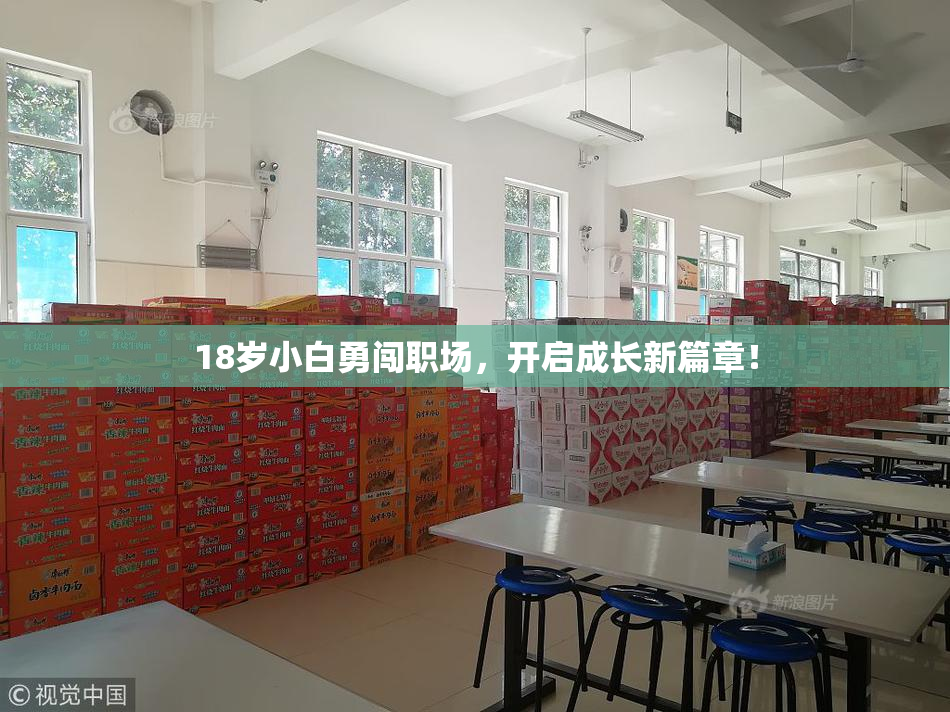 18岁小白勇闯职场，开启成长新篇章！