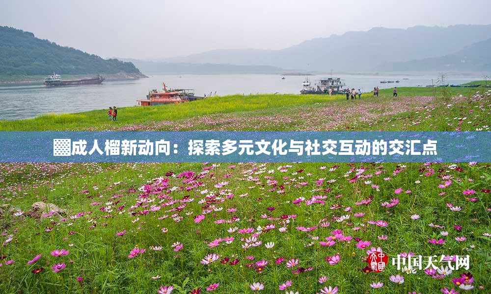 ▓成人榴新动向：探索多元文化与社交互动的交汇点