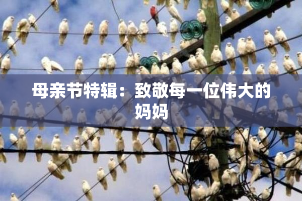母亲节特辑：致敬每一位伟大的妈妈