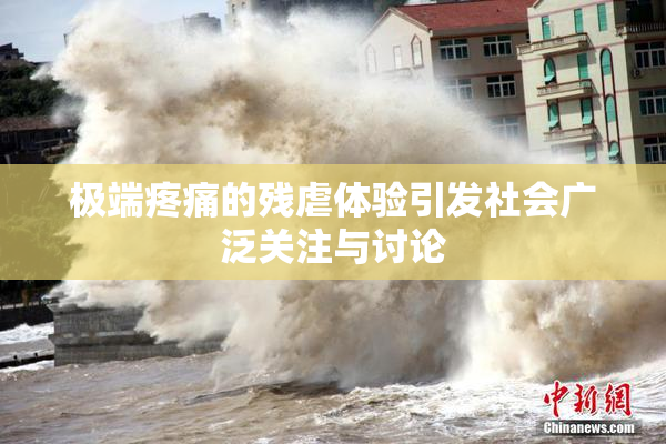 极端疼痛的残虐体验引发社会广泛关注与讨论