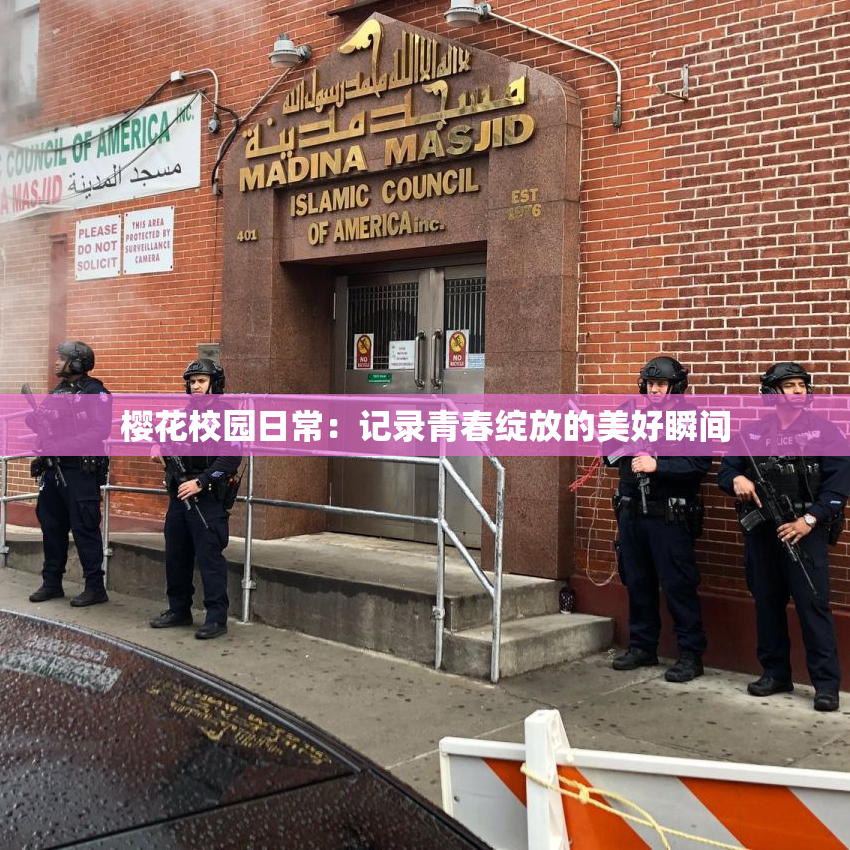 樱花校园日常：记录青春绽放的美好瞬间