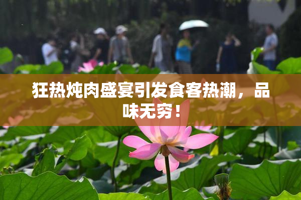 狂热炖肉盛宴引发食客热潮，品味无穷！
