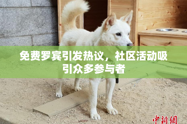 免费罗宾引发热议，社区活动吸引众多参与者