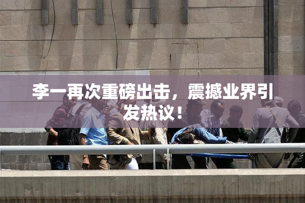 李一再次重磅出击，震撼业界引发热议！