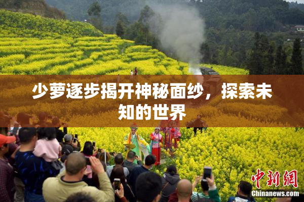 少萝逐步揭开神秘面纱，探索未知的世界