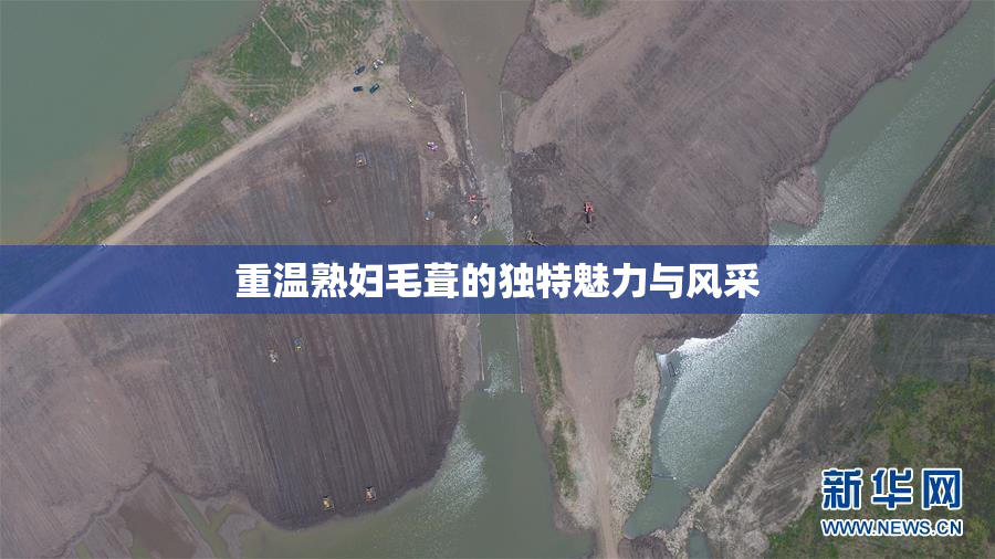 重温熟妇毛葺的独特魅力与风采