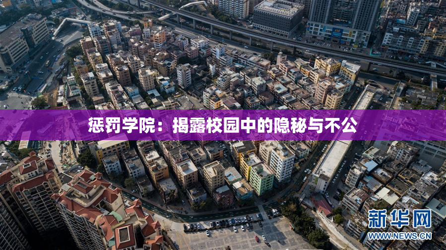 惩罚学院：揭露校园中的隐秘与不公