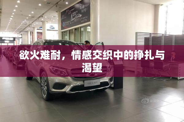 欲火难耐，情感交织中的挣扎与渴望
