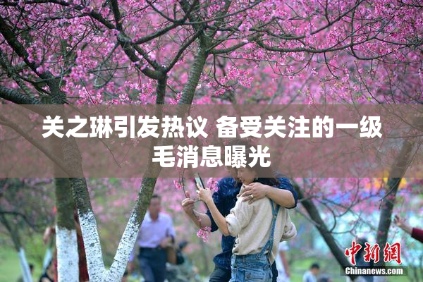 关之琳引发热议 备受关注的一级毛消息曝光