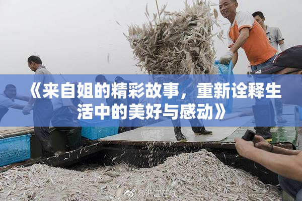 《来自姐的精彩故事，重新诠释生活中的美好与感动》