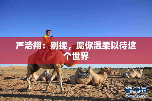 严浩翔：别揉，愿你温柔以待这个世界