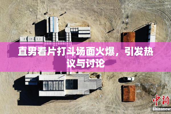 直男看片打斗场面火爆，引发热议与讨论
