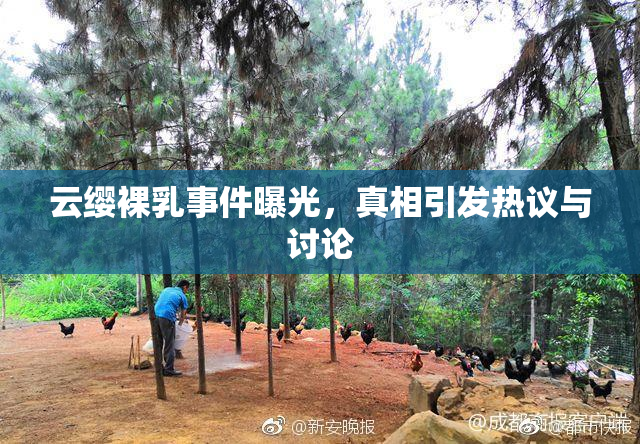 云缨裸乳事件曝光，真相引发热议与讨论