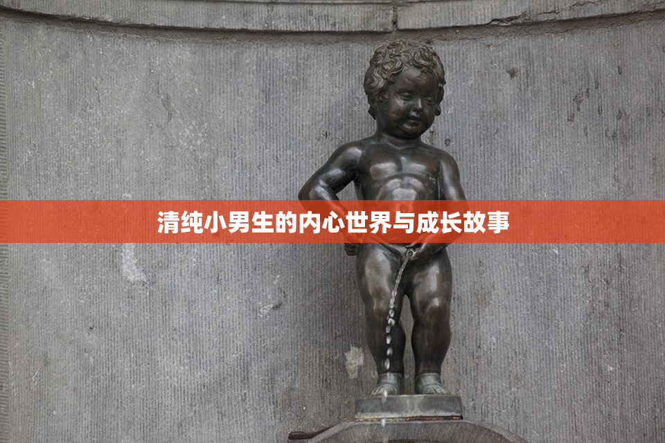 清纯小男生的内心世界与成长故事