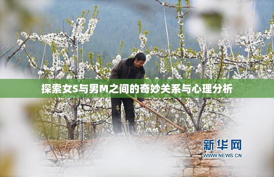 探索女S与男M之间的奇妙关系与心理分析