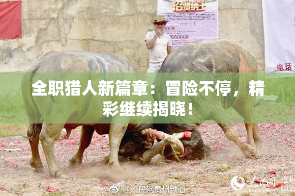 全职猎人新篇章：冒险不停，精彩继续揭晓！