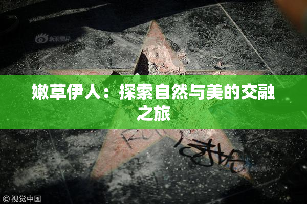 嫩草伊人：探索自然与美的交融之旅
