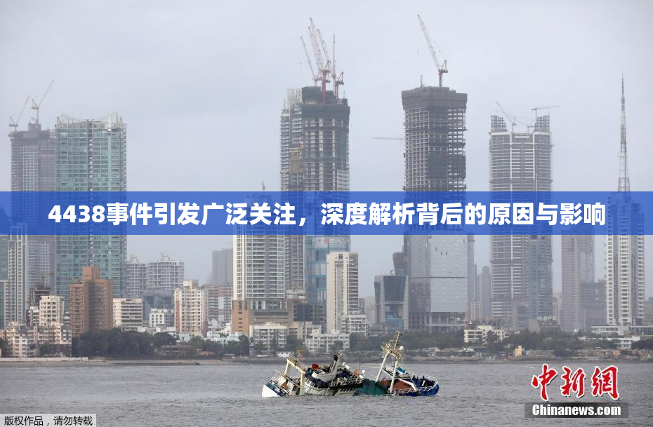4438事件引发广泛关注，深度解析背后的原因与影响