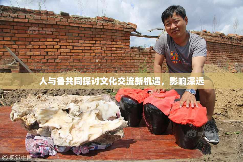 人与鲁共同探讨文化交流新机遇，影响深远