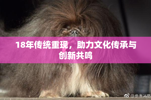 18年传统重现，助力文化传承与创新共鸣