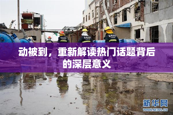 动被到，重新解读热门话题背后的深层意义