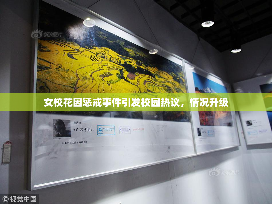 女校花因惩戒事件引发校园热议，情况升级