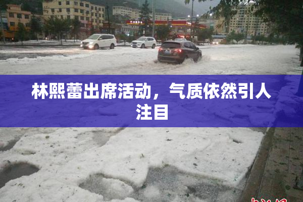 林熙蕾出席活动，气质依然引人注目