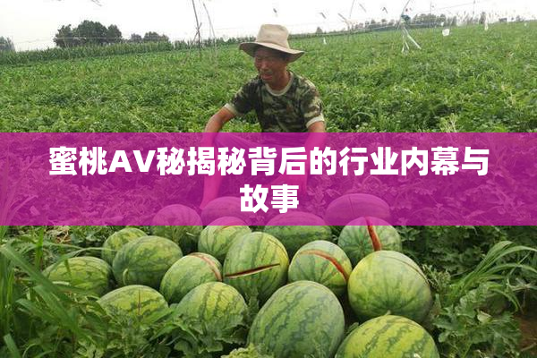 蜜桃AV秘揭秘背后的行业内幕与故事