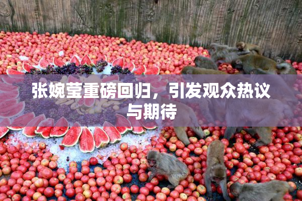 张婉莹重磅回归，引发观众热议与期待