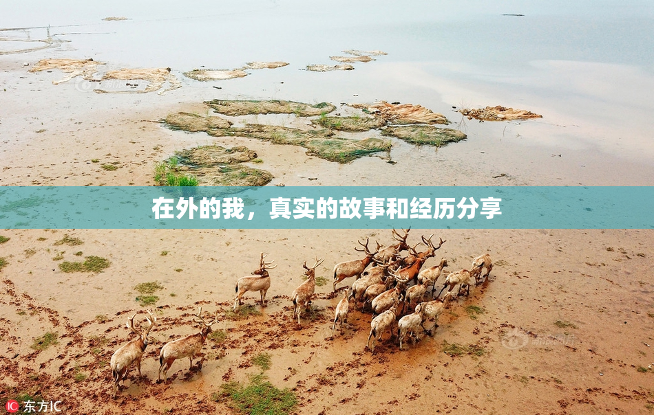 在外的我，真实的故事和经历分享