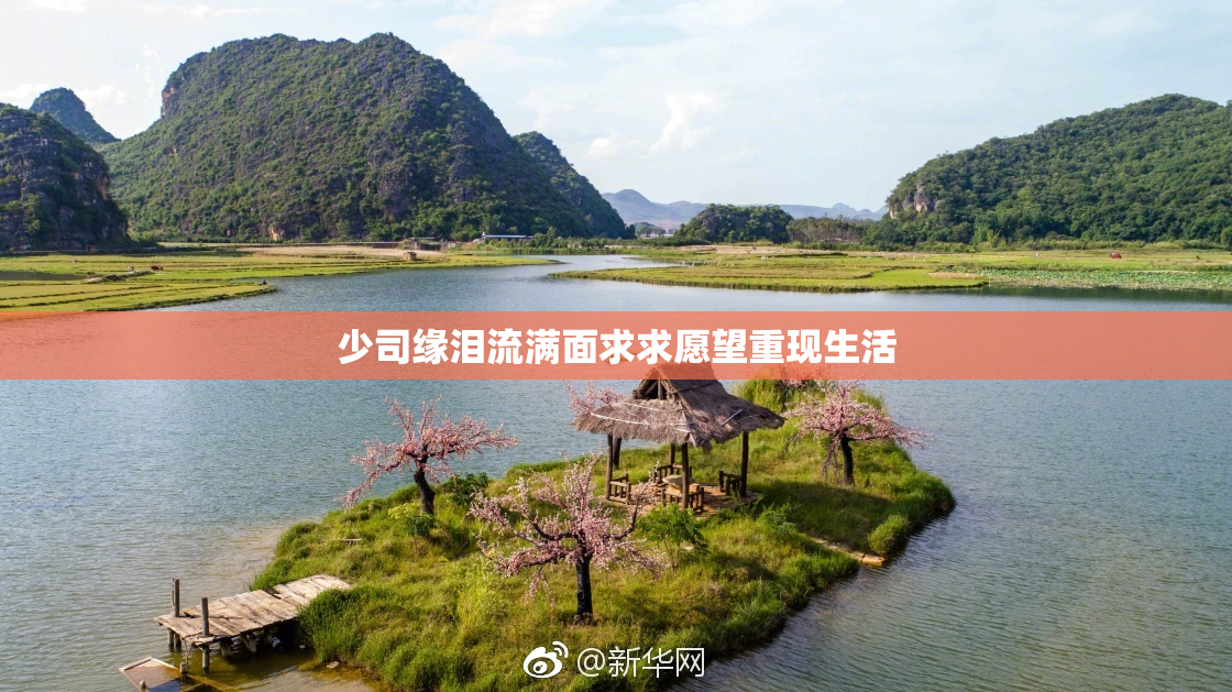 少司缘泪流满面求求愿望重现生活