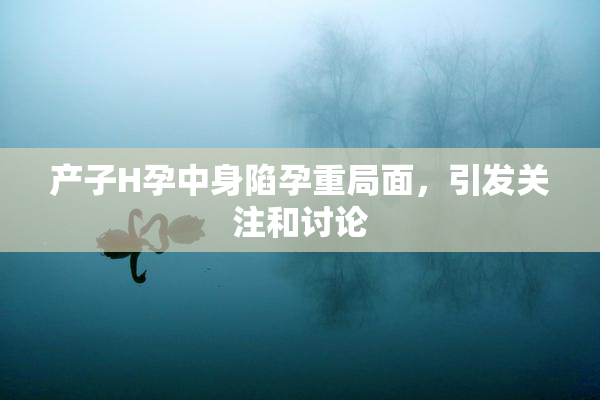 产子H孕中身陷孕重局面，引发关注和讨论