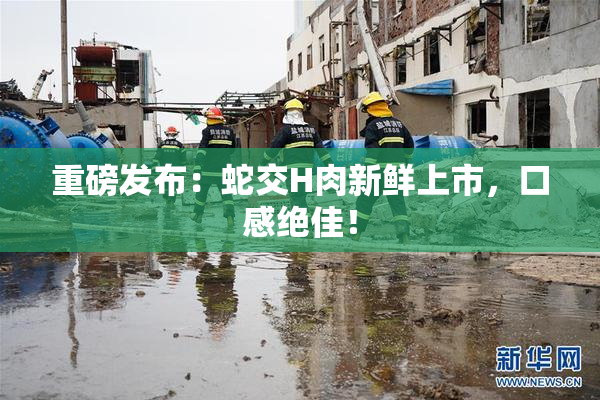 重磅发布：蛇交H肉新鲜上市，口感绝佳！