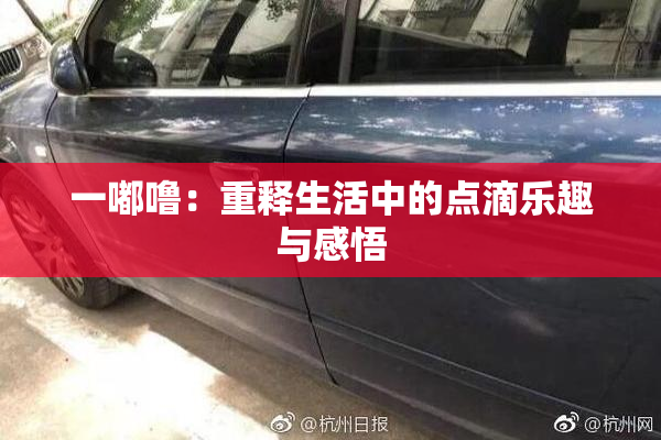 一嘟噜：重释生活中的点滴乐趣与感悟