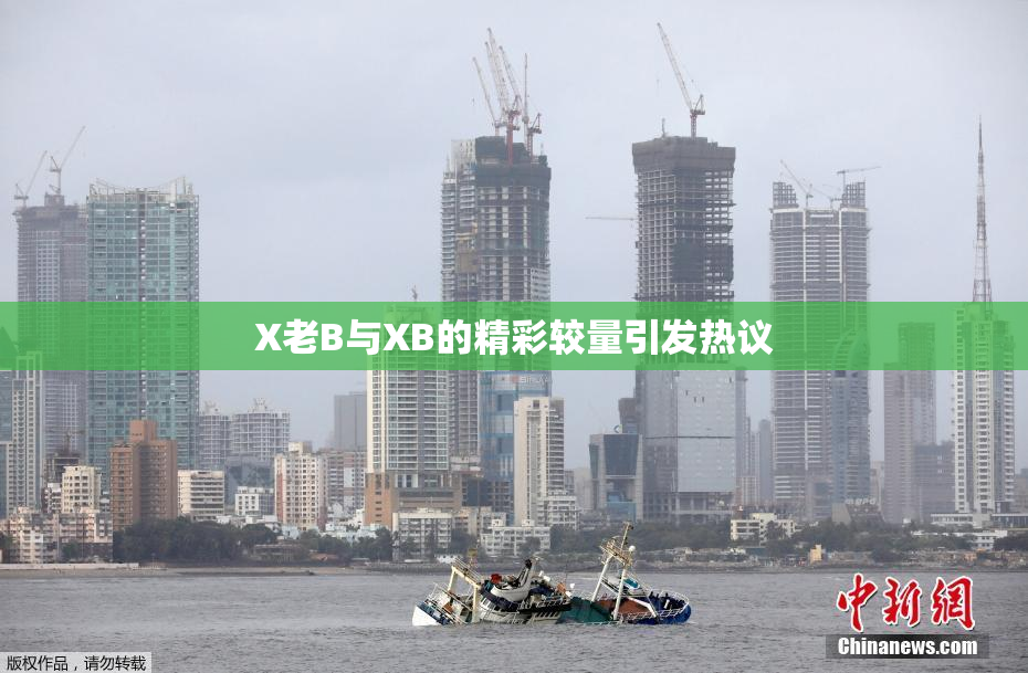 X老B与XB的精彩较量引发热议