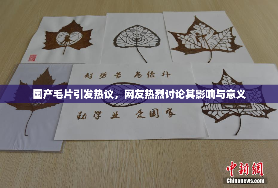 国产毛片引发热议，网友热烈讨论其影响与意义