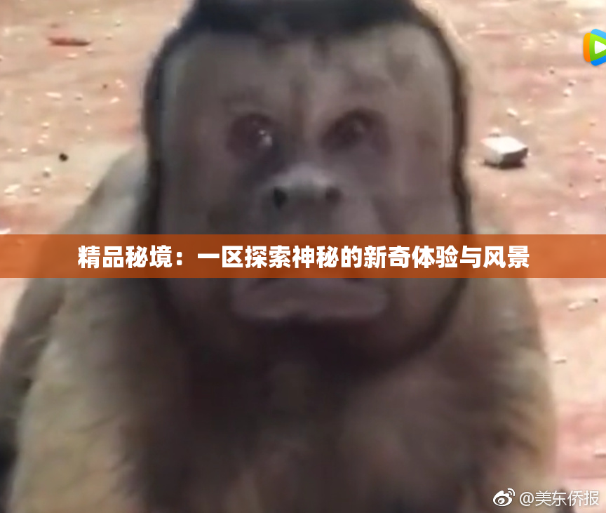 精品秘境：一区探索神秘的新奇体验与风景