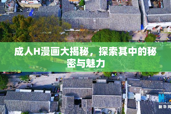 成人H漫画大揭秘，探索其中的秘密与魅力