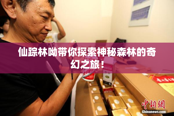 仙踪林呦带你探索神秘森林的奇幻之旅！