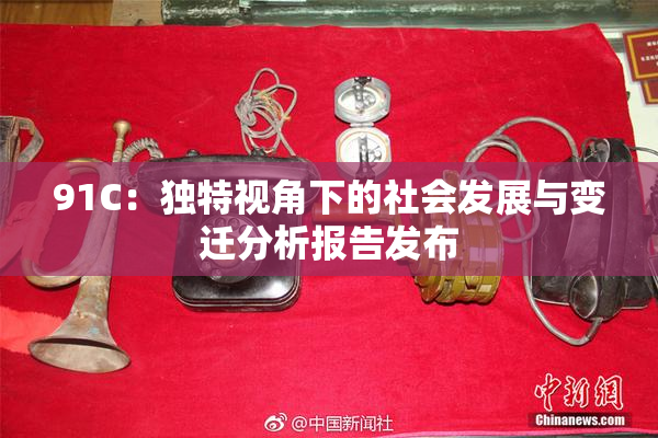 91C：独特视角下的社会发展与变迁分析报告发布