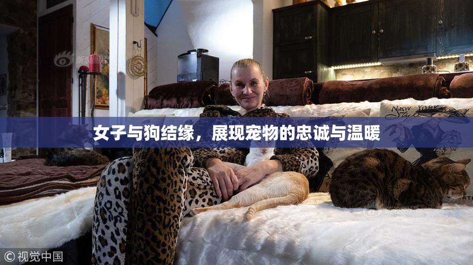 女子与狗结缘，展现宠物的忠诚与温暖