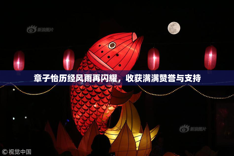 章子怡历经风雨再闪耀，收获满满赞誉与支持
