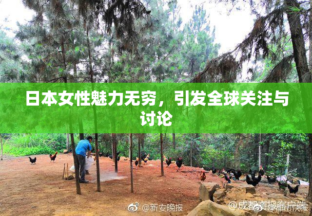 日本女性魅力无穷，引发全球关注与讨论