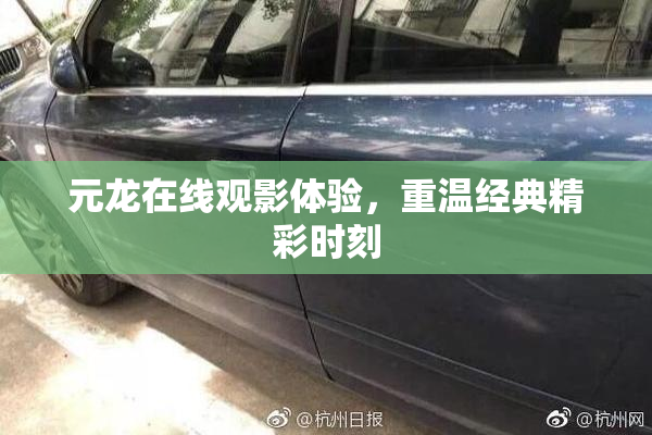 元龙在线观影体验，重温经典精彩时刻
