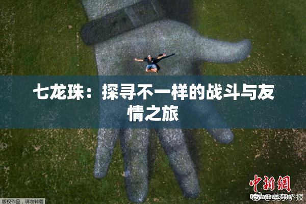 七龙珠：探寻不一样的战斗与友情之旅
