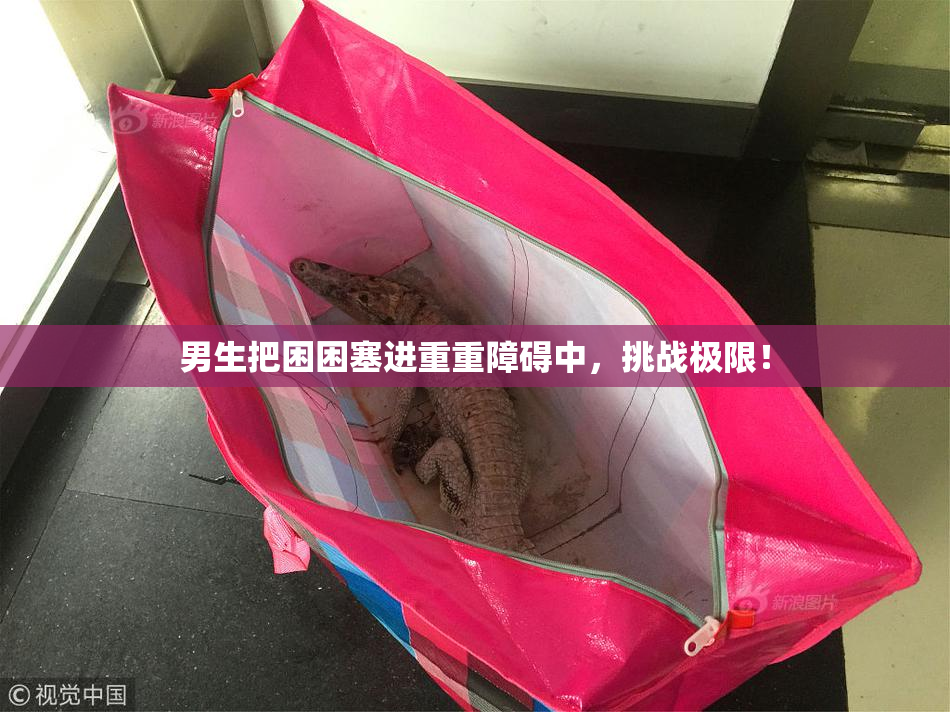 男生把困困塞进重重障碍中，挑战极限！