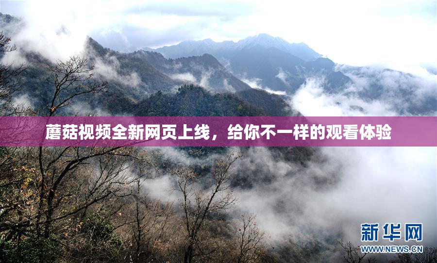 蘑菇视频全新网页上线，给你不一样的观看体验