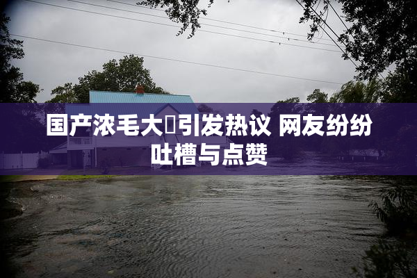 国产浓毛大泬引发热议 网友纷纷吐槽与点赞