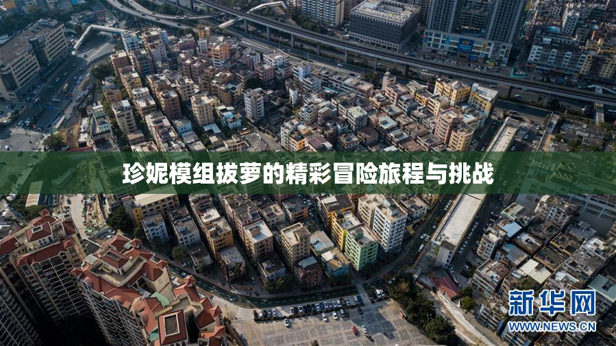 珍妮模组拔萝的精彩冒险旅程与挑战